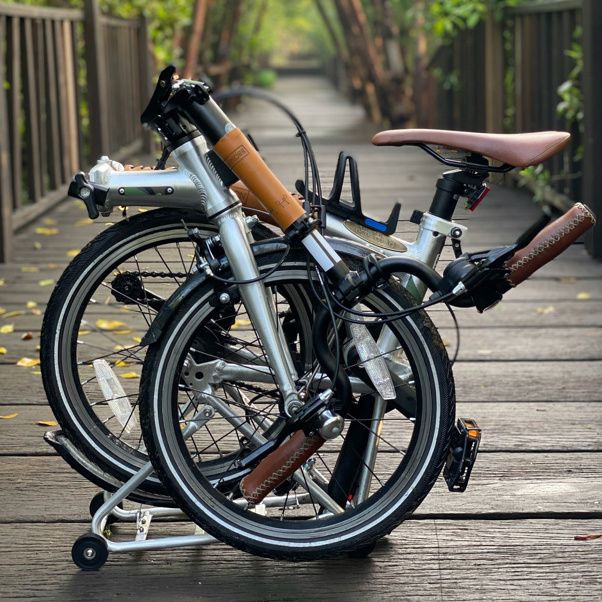 Folding Bike