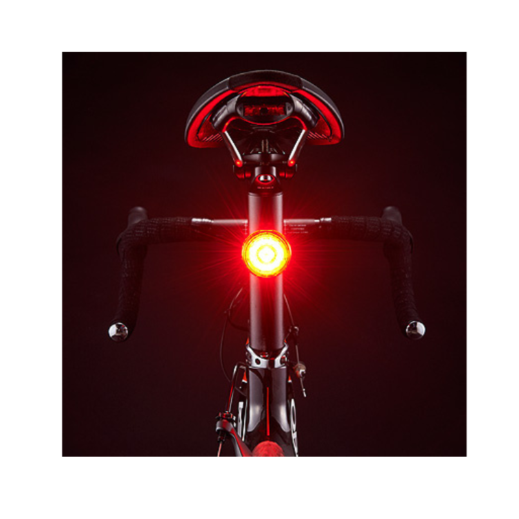 Cateye rear LED bike light mounted on the seat post, emitting bright red light to enhance visibility during night rides.