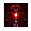 Cateye rear LED bike light mounted on the seat post, emitting bright red light to enhance visibility during night rides.