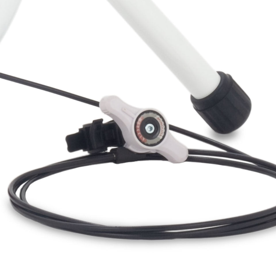 Minoura LR241 Trainer for Mini Velo